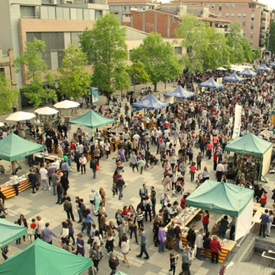 roses sant jordi