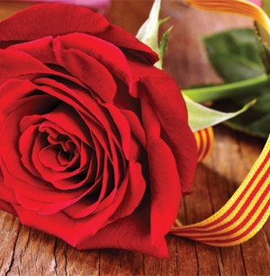 Libres i roses sant jordi